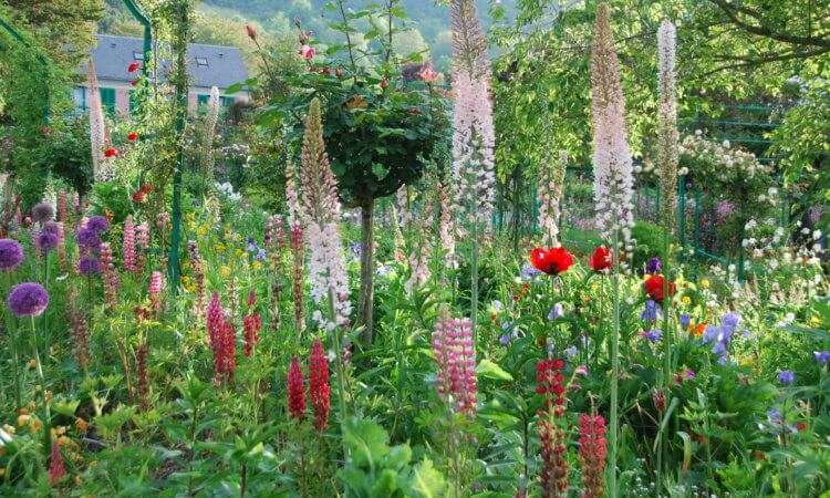 Le jardin de fleurs de Monet